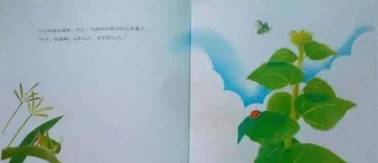 小鸡球球和向日葵