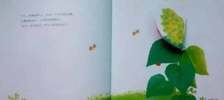 小鸡球球和向日葵