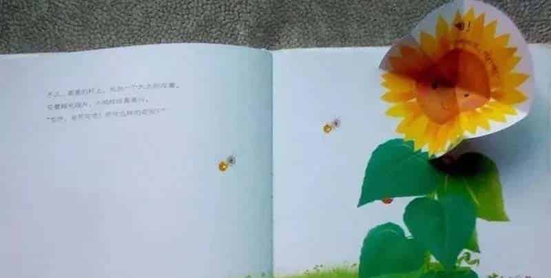 小鸡球球和向日葵