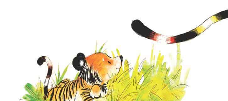 加油小老虎汤姆