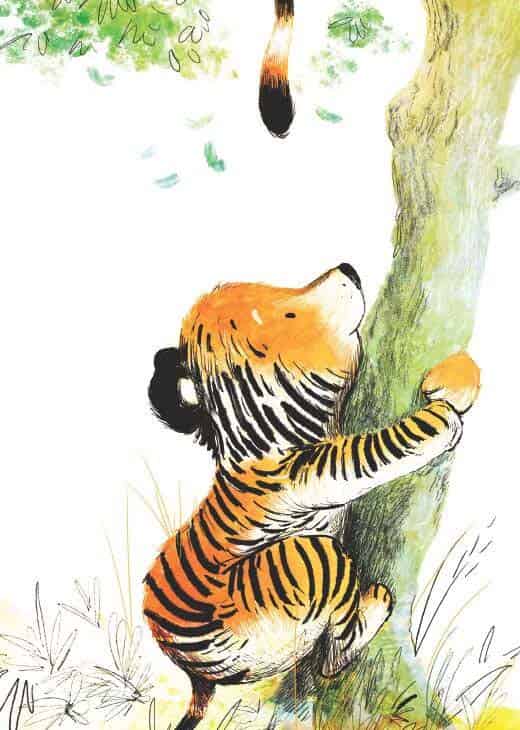 加油小老虎汤姆