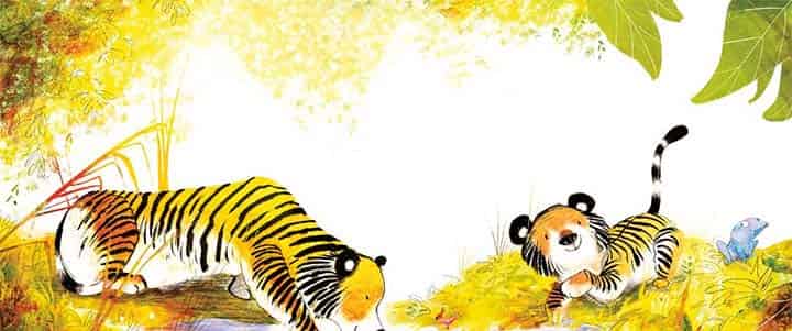 加油小老虎汤姆