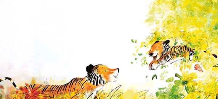 加油小老虎汤姆