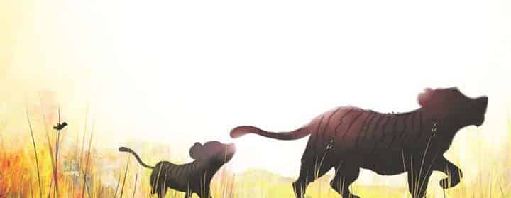 加油小老虎汤姆