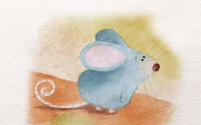 小老鼠丢丢 暴风雨来了