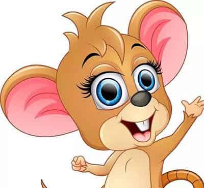 小老鼠的亮眼睛