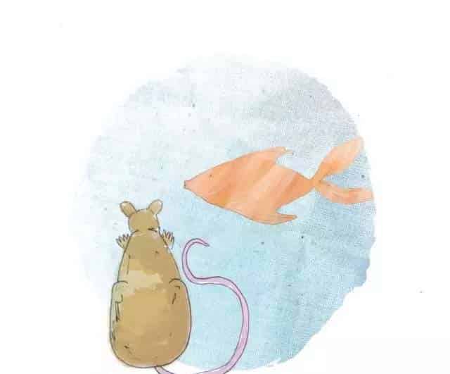 小老鼠找新家（A House for a Mouse）