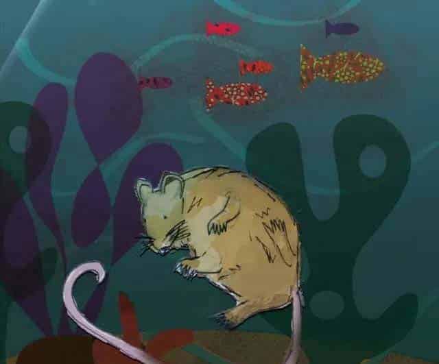 小老鼠找新家（A House for a Mouse）