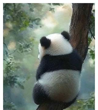 小雨点儿来过了