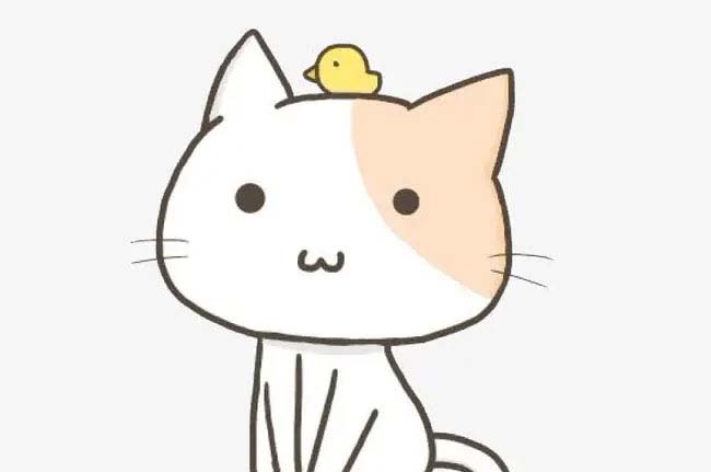 谁美谁丑 谁美谁丑