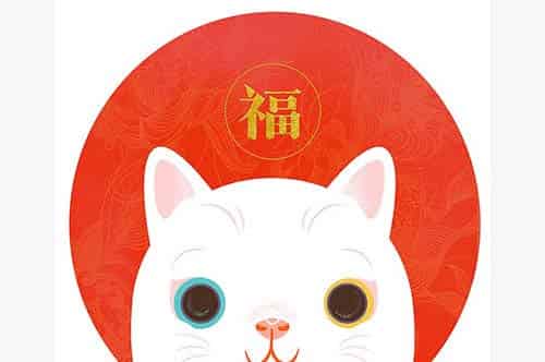 小兔多多过新年