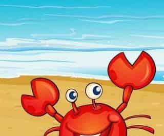 小螃蟹，走自己的路就好啦！