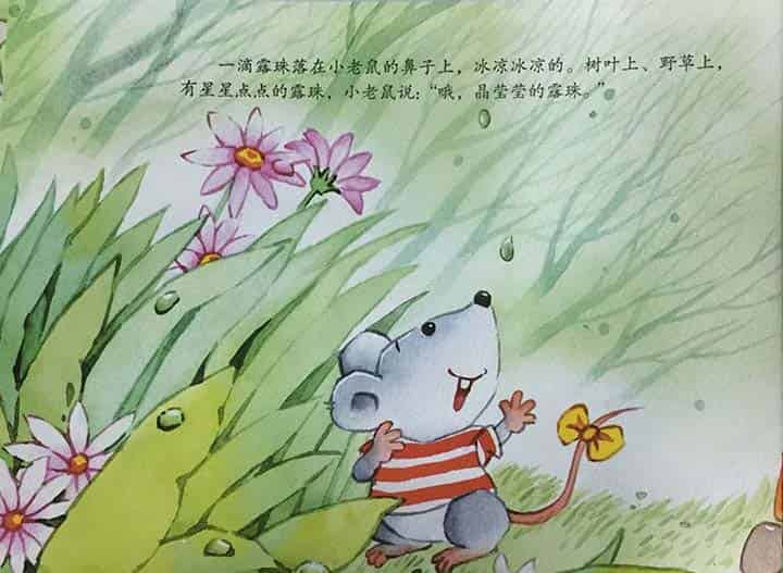 小老鼠的新奇世界（新奇的世界）