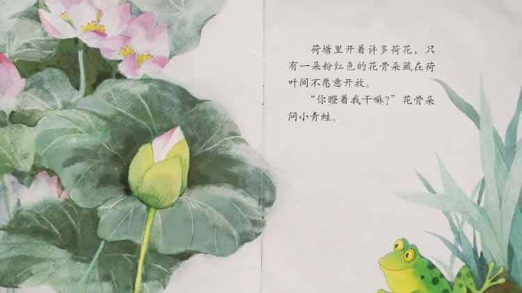 小青蛙与荷花(学会等待) 小青蛙与荷花(学会等待)