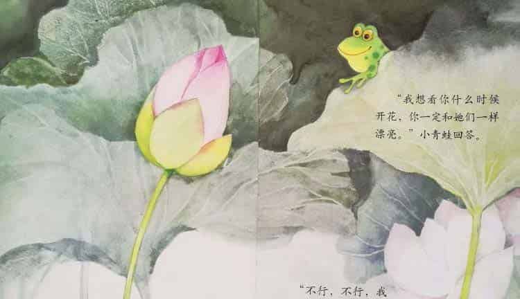 小青蛙与荷花(学会等待) 小青蛙与荷花(学会等待)