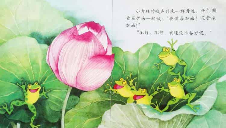 小青蛙与荷花(学会等待) 小青蛙与荷花(学会等待)