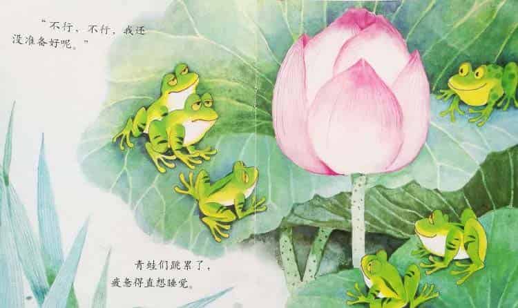 小青蛙与荷花(学会等待) 小青蛙与荷花(学会等待)
