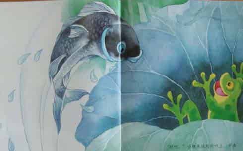 小青蛙与小鲤鱼