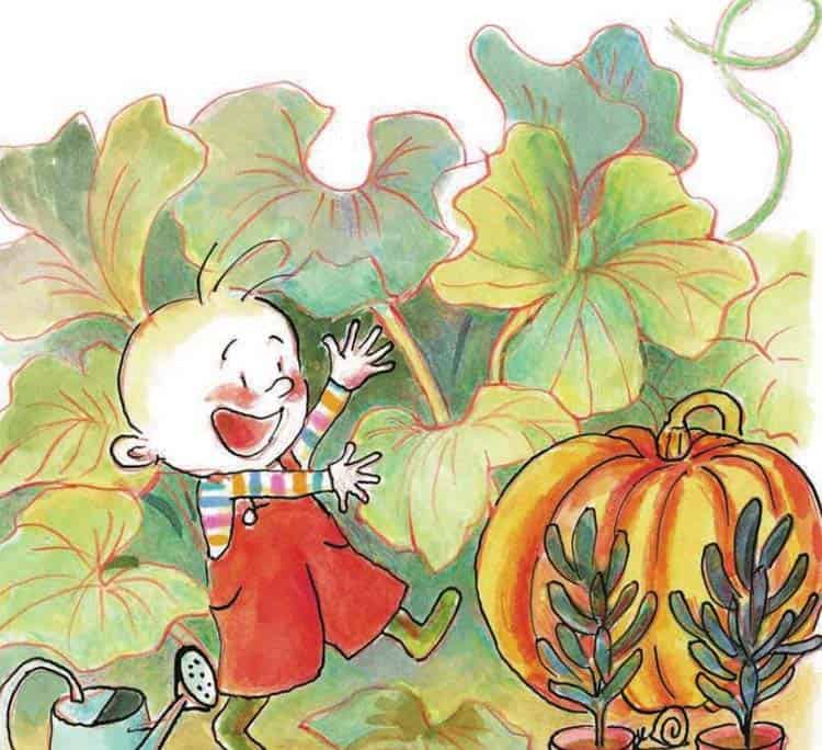 小赛和南瓜