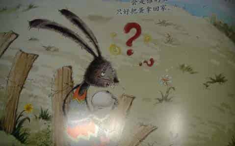 小兔孵蛋