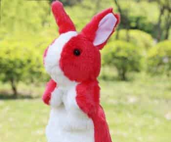 坚持,小兔胜利了 坚持,小兔胜利了