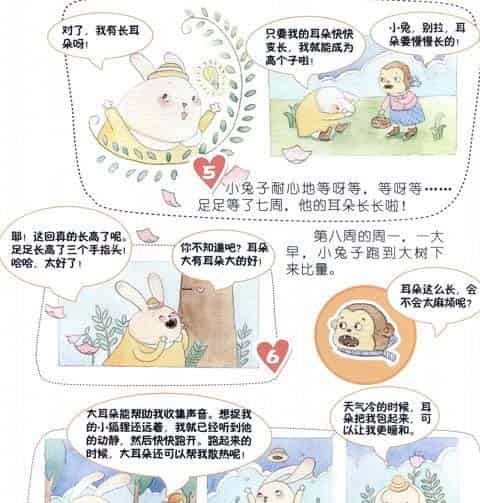 小兔子的长耳朵