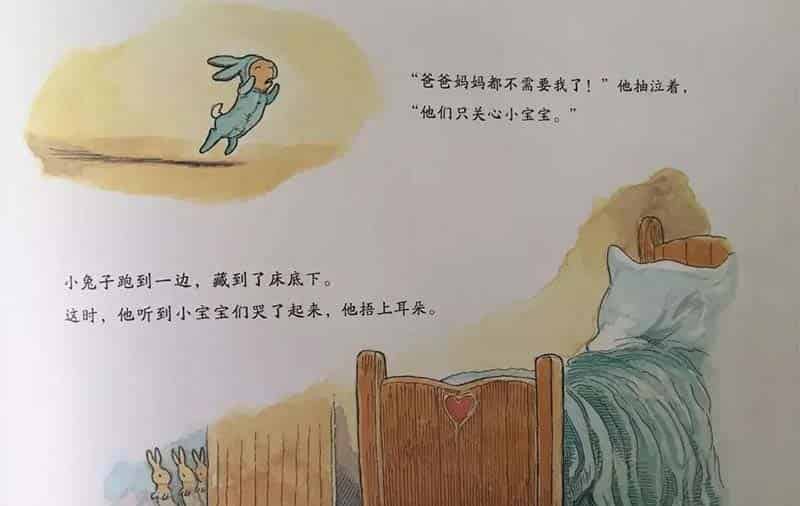 小兔子的新宝宝