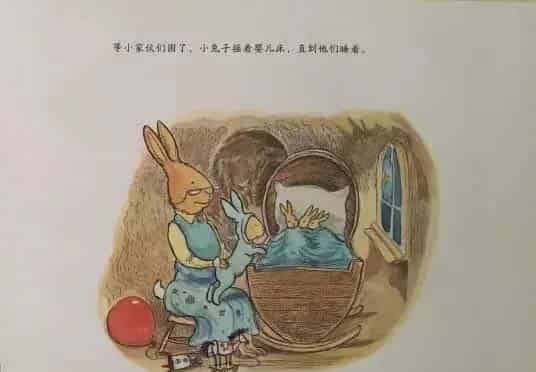 小兔子的新宝宝