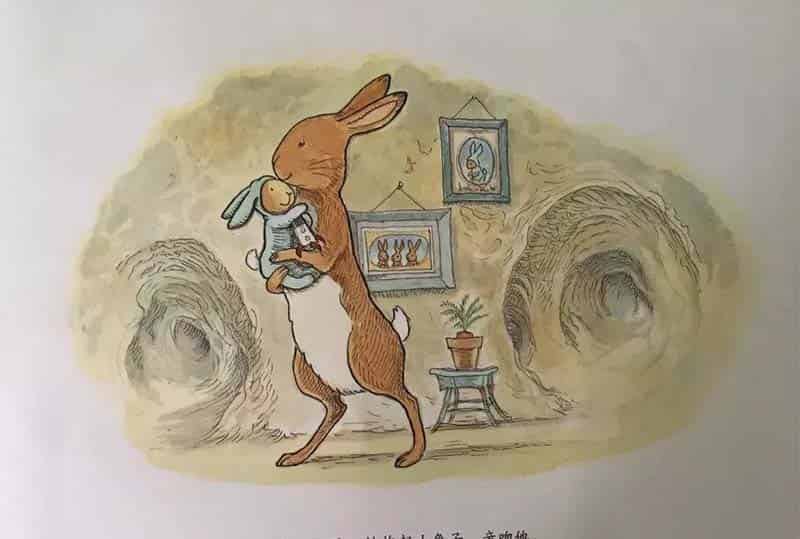 小兔子的新宝宝