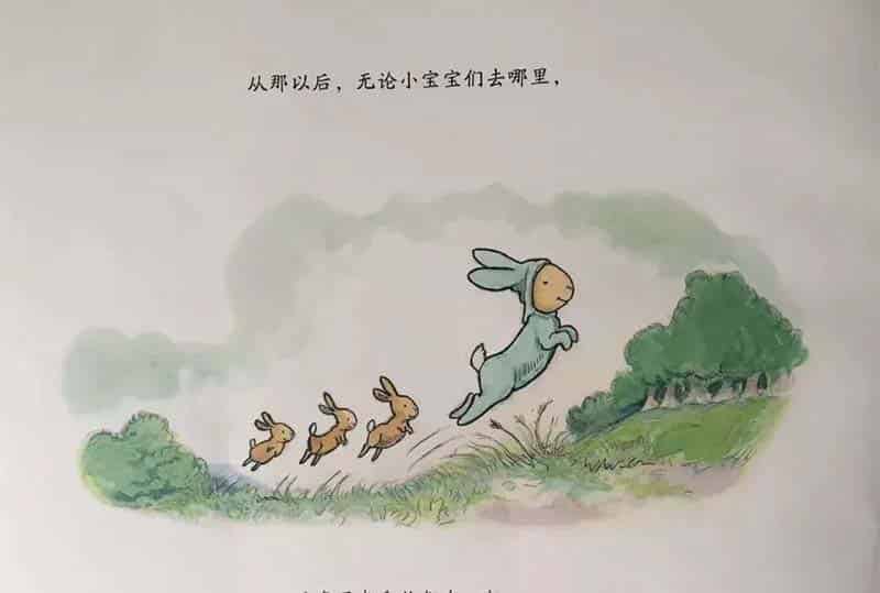 小兔子的新宝宝