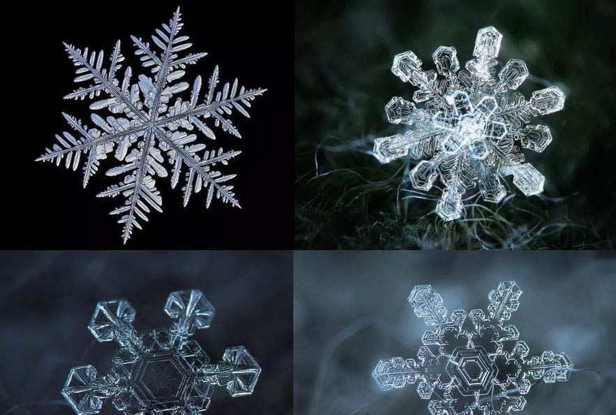 乖乖兔：雪花的样子