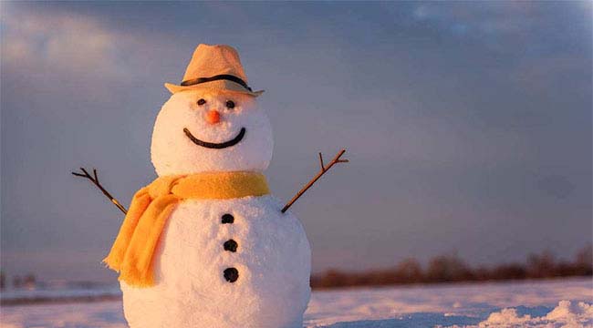 月季花和雪人