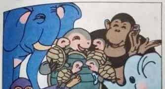 小乌龟出世记