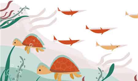 小乌龟和鱼