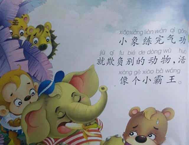 小象的鼻子功 小象的鼻子功