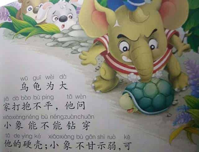 小象的鼻子功 小象的鼻子功