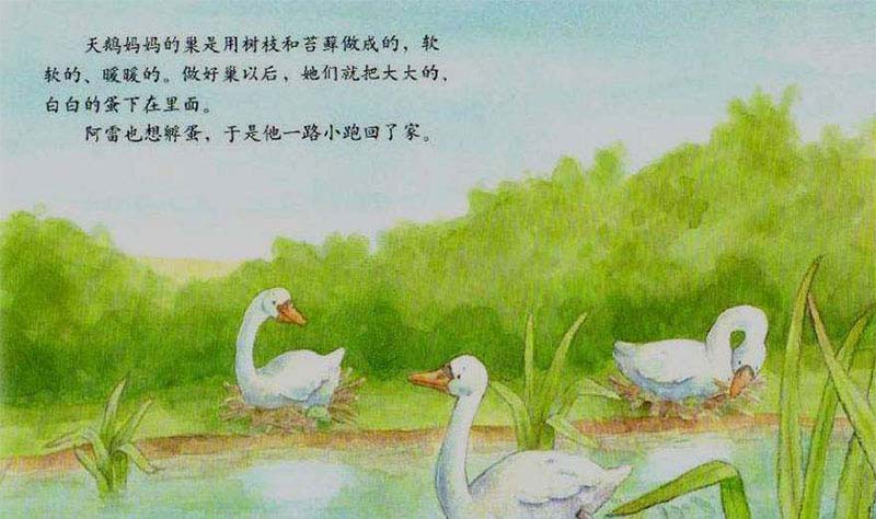 小熊孵蛋