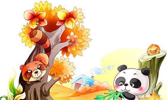 小熊猫在幼儿园里 小熊猫在幼儿园里