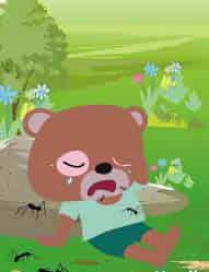 小熊洗脸 小熊洗脸