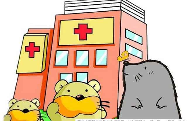 小鼹鼠的空调屋