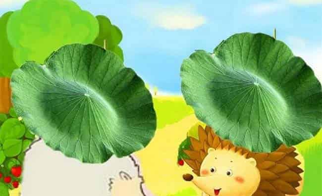 小鼹鼠的空调屋