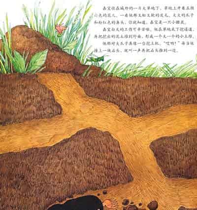 小鼹鼠嘉宝 小鼹鼠嘉宝