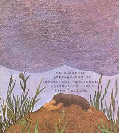 小鼹鼠嘉宝 小鼹鼠嘉宝