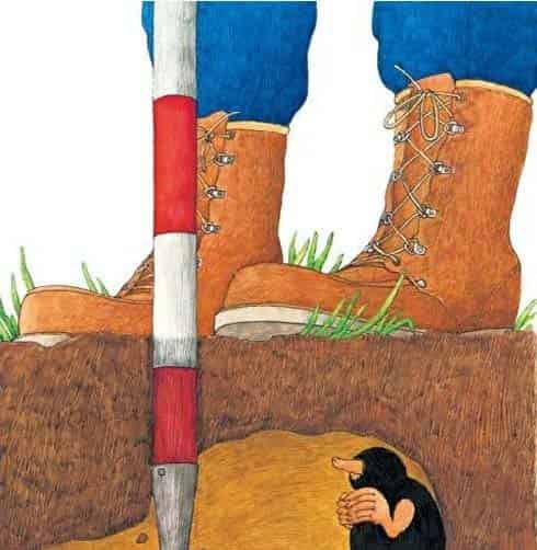 小鼹鼠嘉宝 小鼹鼠嘉宝