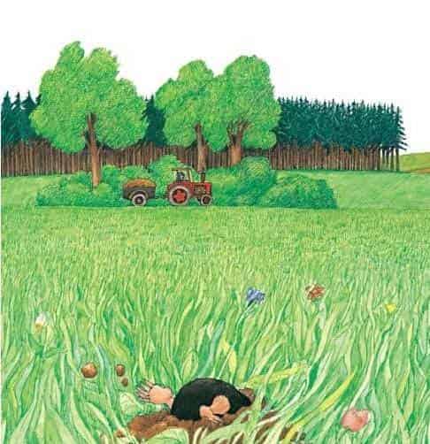 小鼹鼠嘉宝 小鼹鼠嘉宝