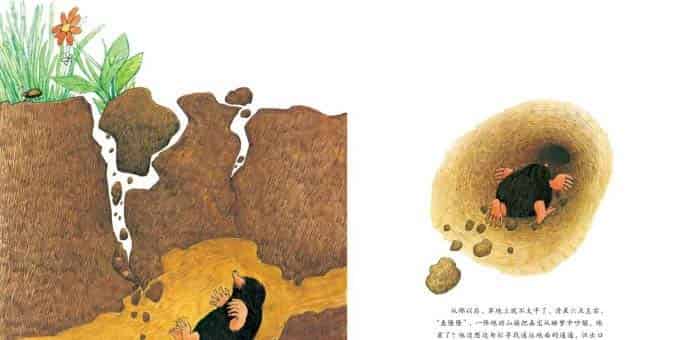 小鼹鼠嘉宝 小鼹鼠嘉宝