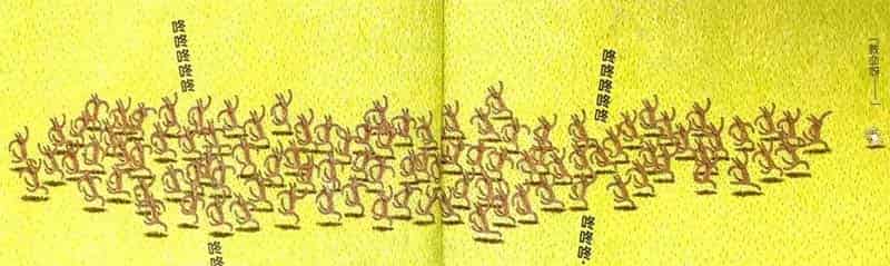 1只小猪和100只狼