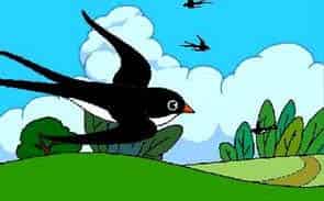 什么动物才是鸟