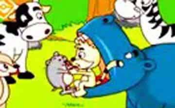 野猫的城市 野猫的城市