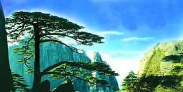 迎客松的回答 迎客松的回答